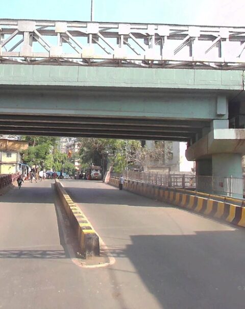 Borivali – Daulat Nagar Bridge – project image 1
